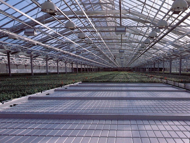 Rolling benches | Commercial Greenhouse Accessories