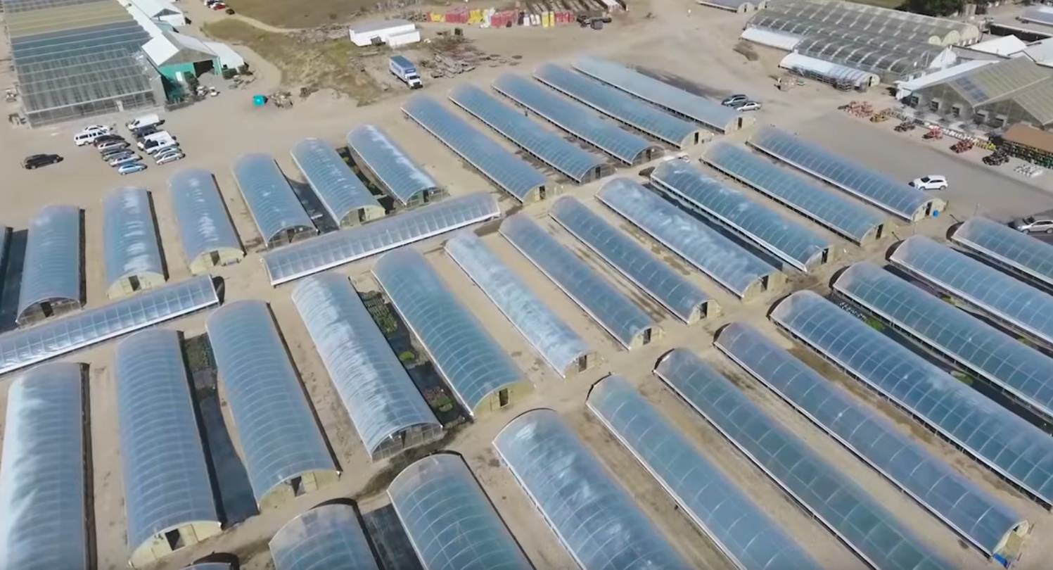 Cold Frame 20's in Ft Collins, CO