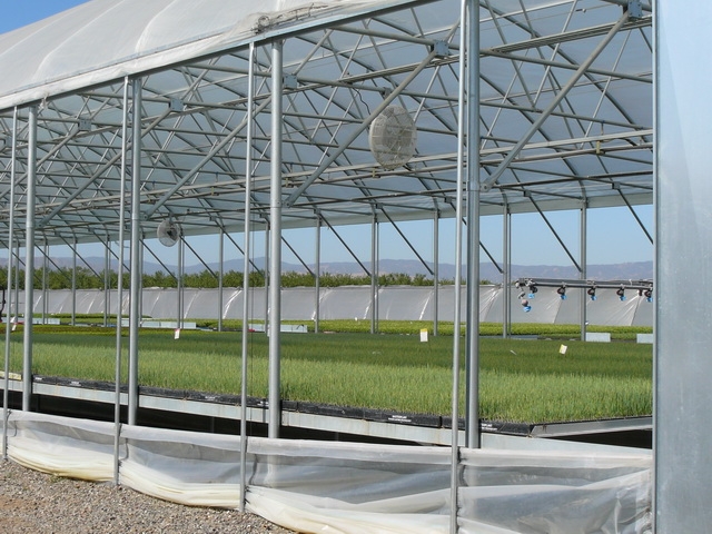 Drop Wall | Commercial Greenhouse Accessories