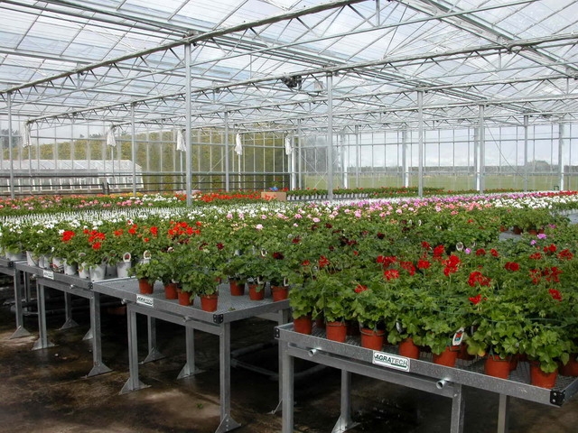 Rolling Benches | Commercial Greenhouse Accessories