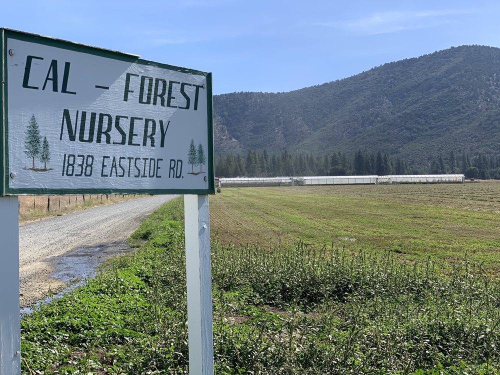 CalForest Nurseries Grows Conifer Tree Seedlings in Agra Tech Insulator Greenhouses | Agra Tech