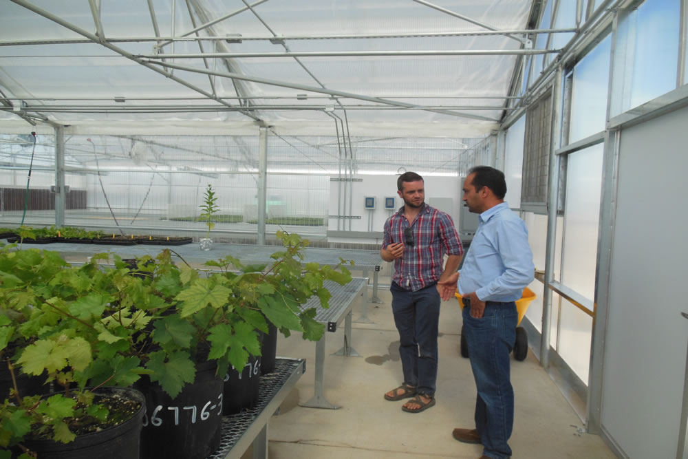 CSP Labs Tests the Seeds of the World | Commercial Greerhouse Manufacturer