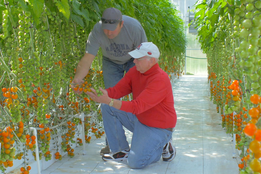 Feeding People in the Future: An Interview with Dr. Merle Jensen | Agra Tech