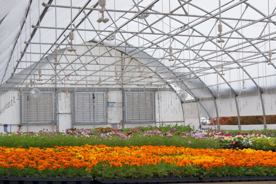 Our Neighbors Farm Uses an Agra Tech Greenhouse for Planting and Teaching | Commercial Greerhouse Manufacturer