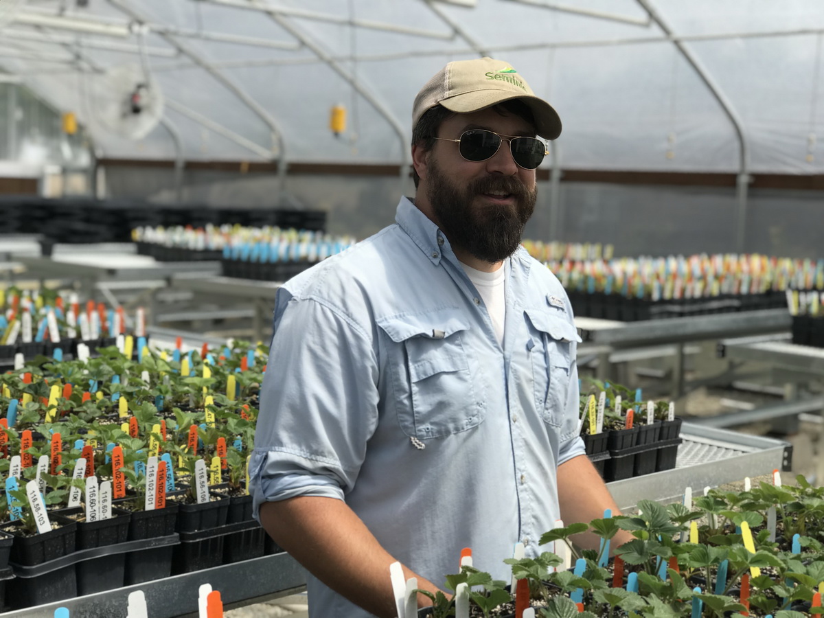 California Berry Cultivars Acquires Second Agra Tech Greenhouse | Commercial Greerhouse Manufacturer