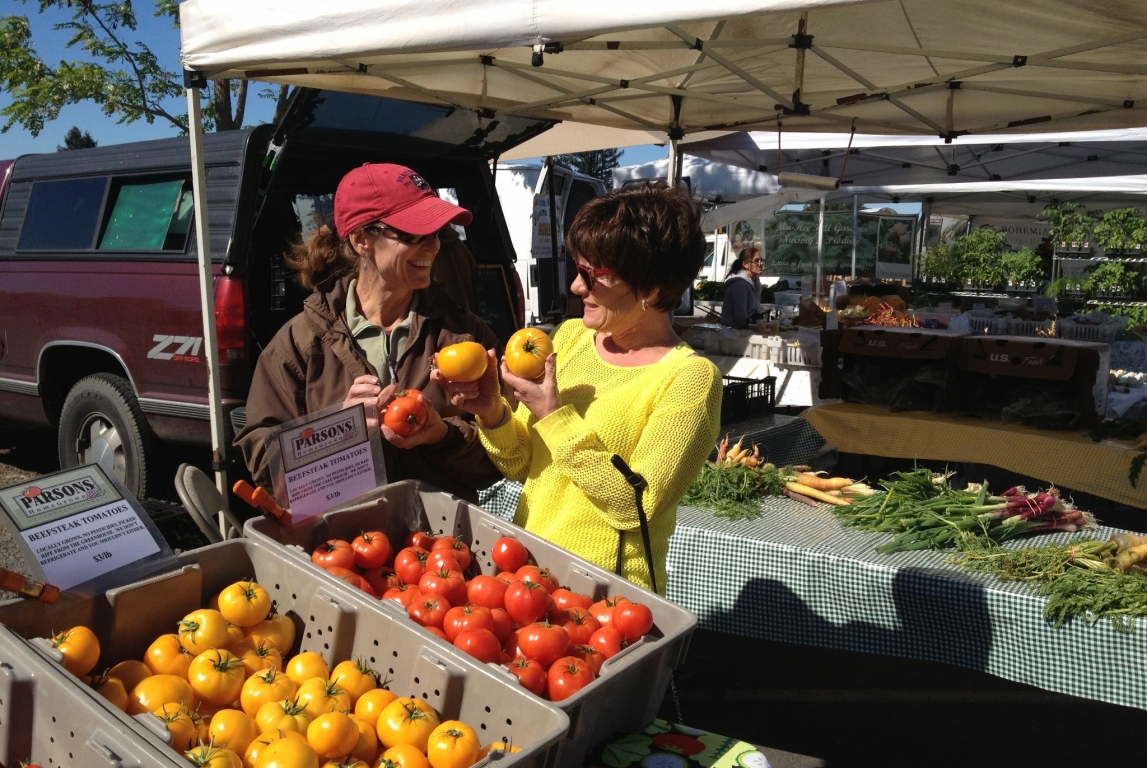 Parsons Homegrown Updates with a new Agra Tech Solar Light Commercial Greenhouse | Parsons Homegrown | Fulton, CA