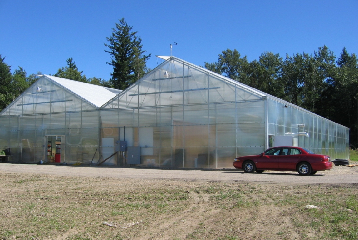 McPhail Farms supply high quality produce to local businesses by using Solar Light | McPhail Farms | Lynden, WA