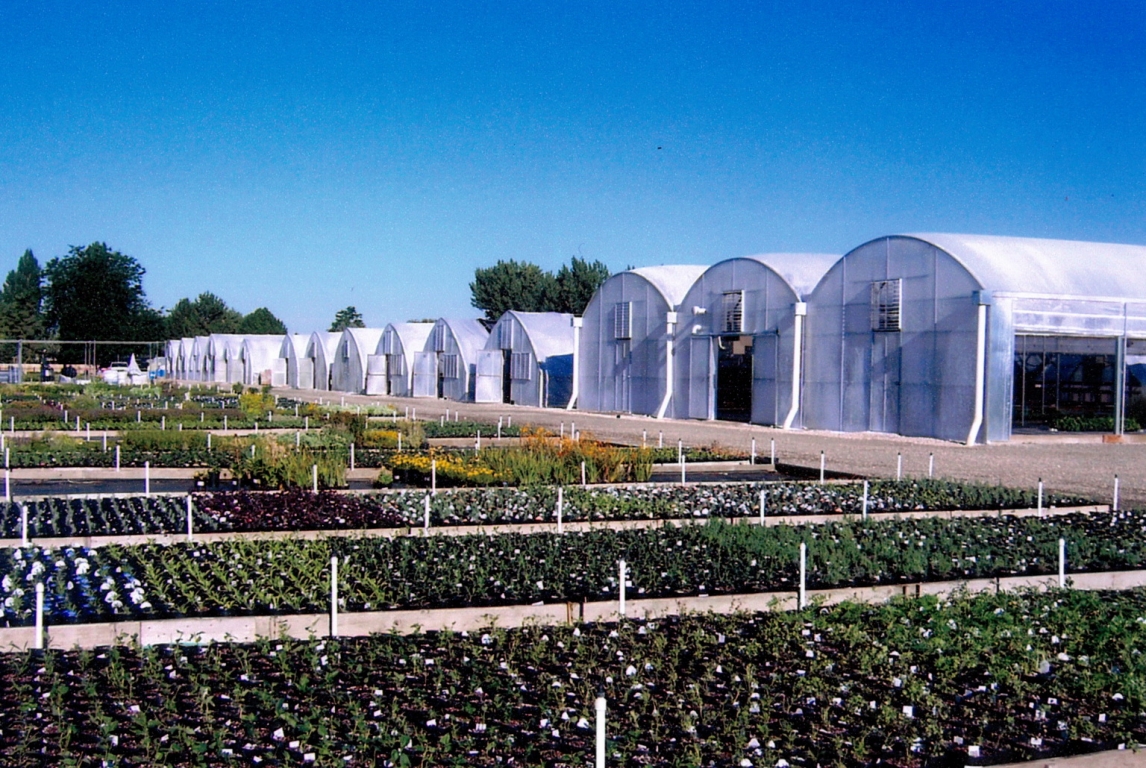 41,000 sq ft of growing space in Perennial Favorites | Perennial Favorites | Layton, UT