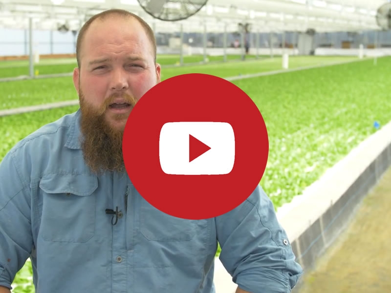 Fresh Farm Aquaponics | Commercial Greenhouse Manufacturer