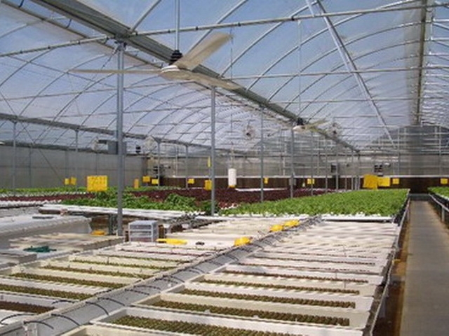 Propagation Greenhouses | Commercial Greenhouses Manufacturer