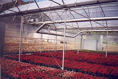 Radiant Heaters | Heating systems | Commercial Greenhouses Equipment