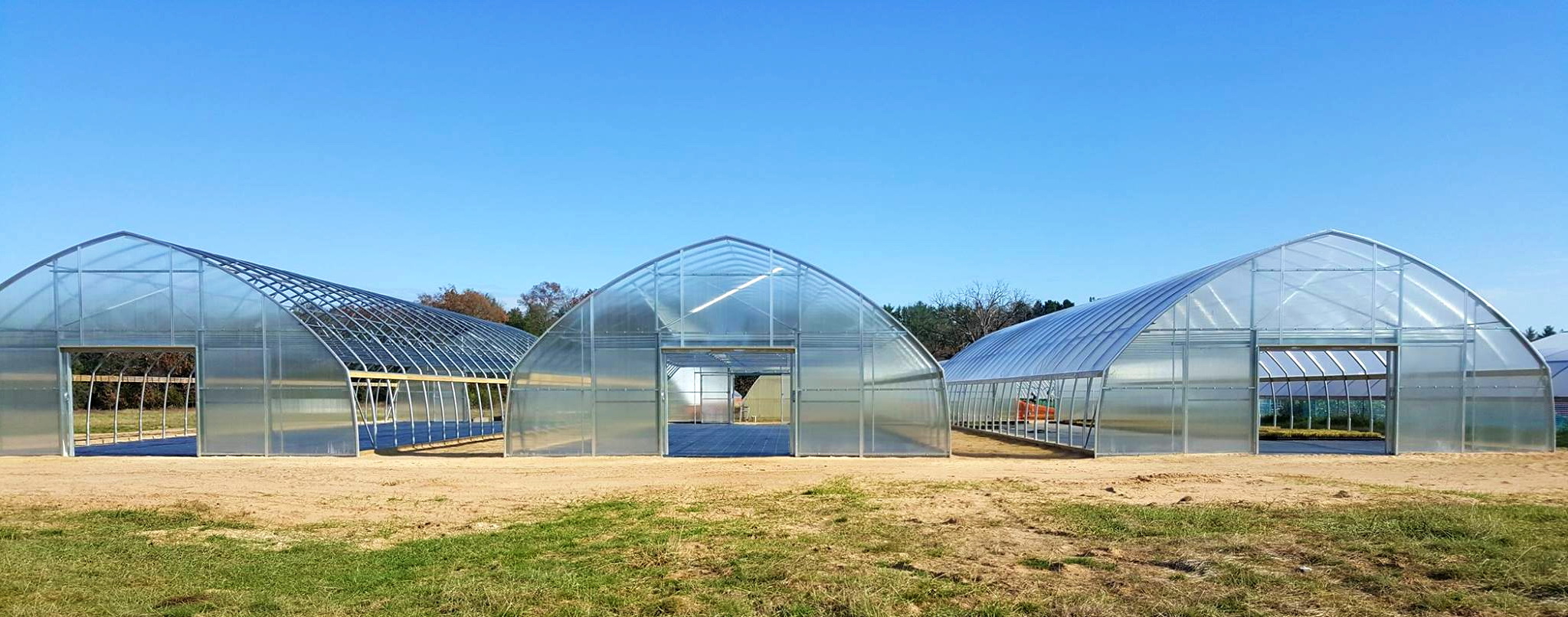 Prairie Nursery Grows Important Native Plants in its ATI Greenhouses | Commercial Greerhouse Manufacturer