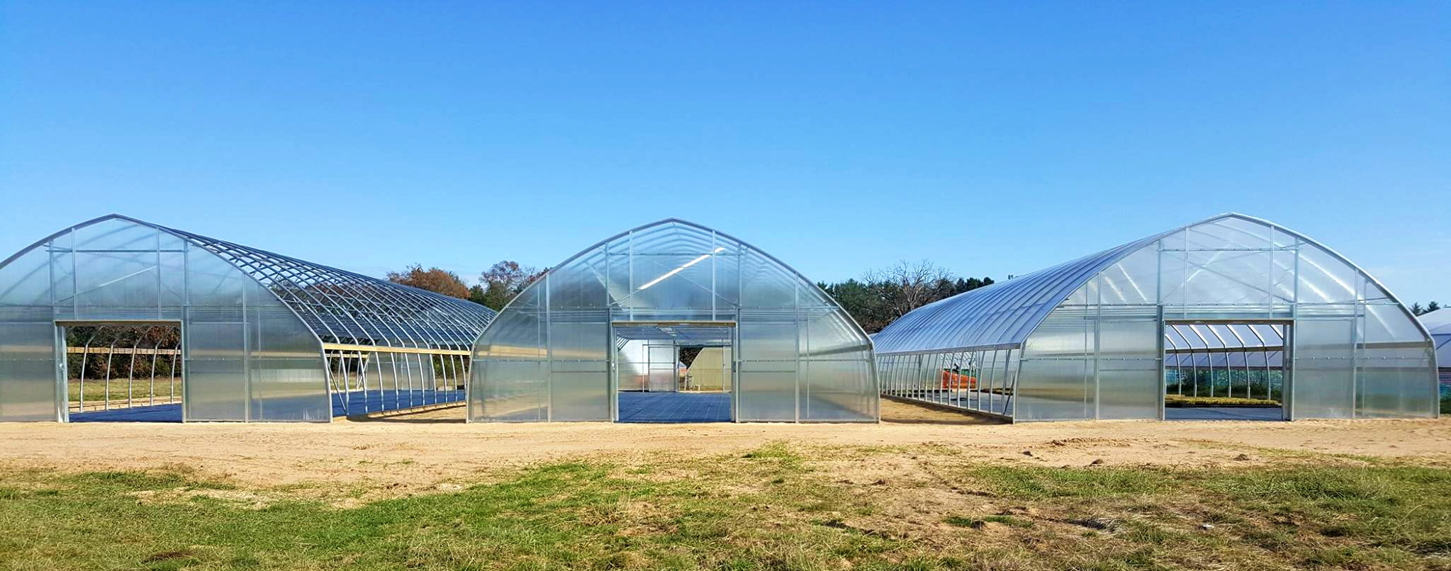 Prairie Nursery Grows Important Native Plants in its ATI Greenhouses | Agra Tech