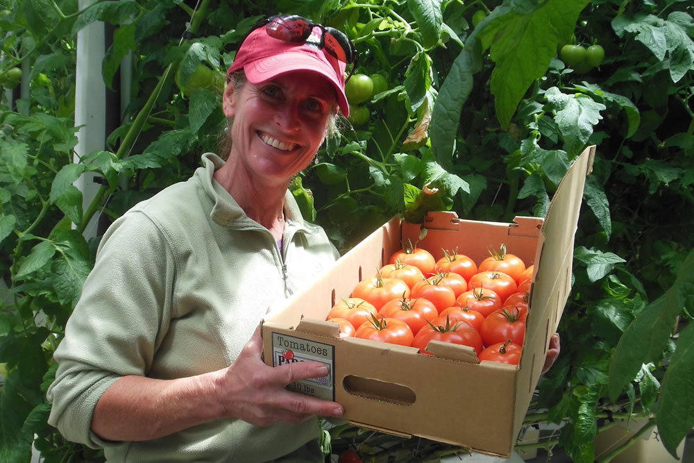 Parsons Homegrown Grows Tomatoes That Get Attention | Commercial Greerhouse Manufacturer
