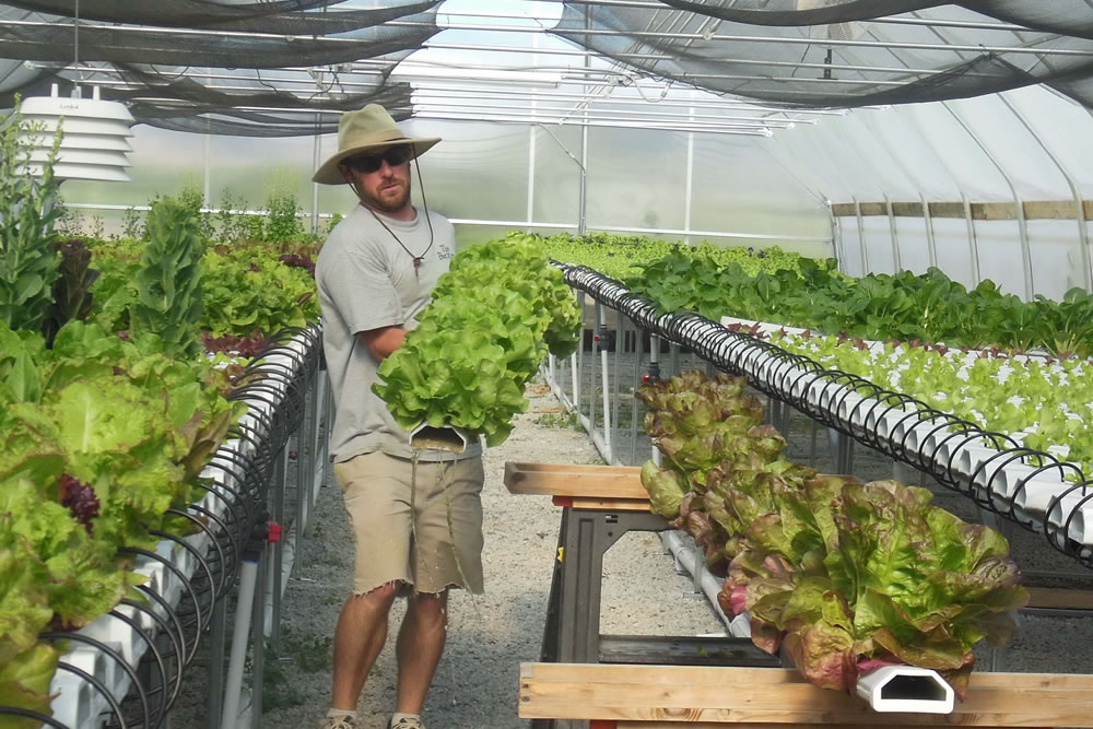 War Veteran/Second-Generation Farmer Embraces Greenhouse Way | Commercial Greerhouse Manufacturer