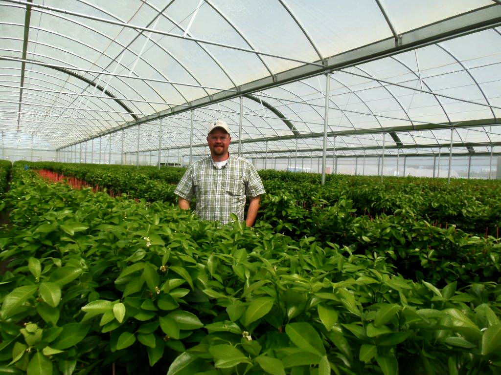 The Burchell Nursery Takes on Large Project with the Help of Agra Tech | Commercial Greerhouse Manufacturer