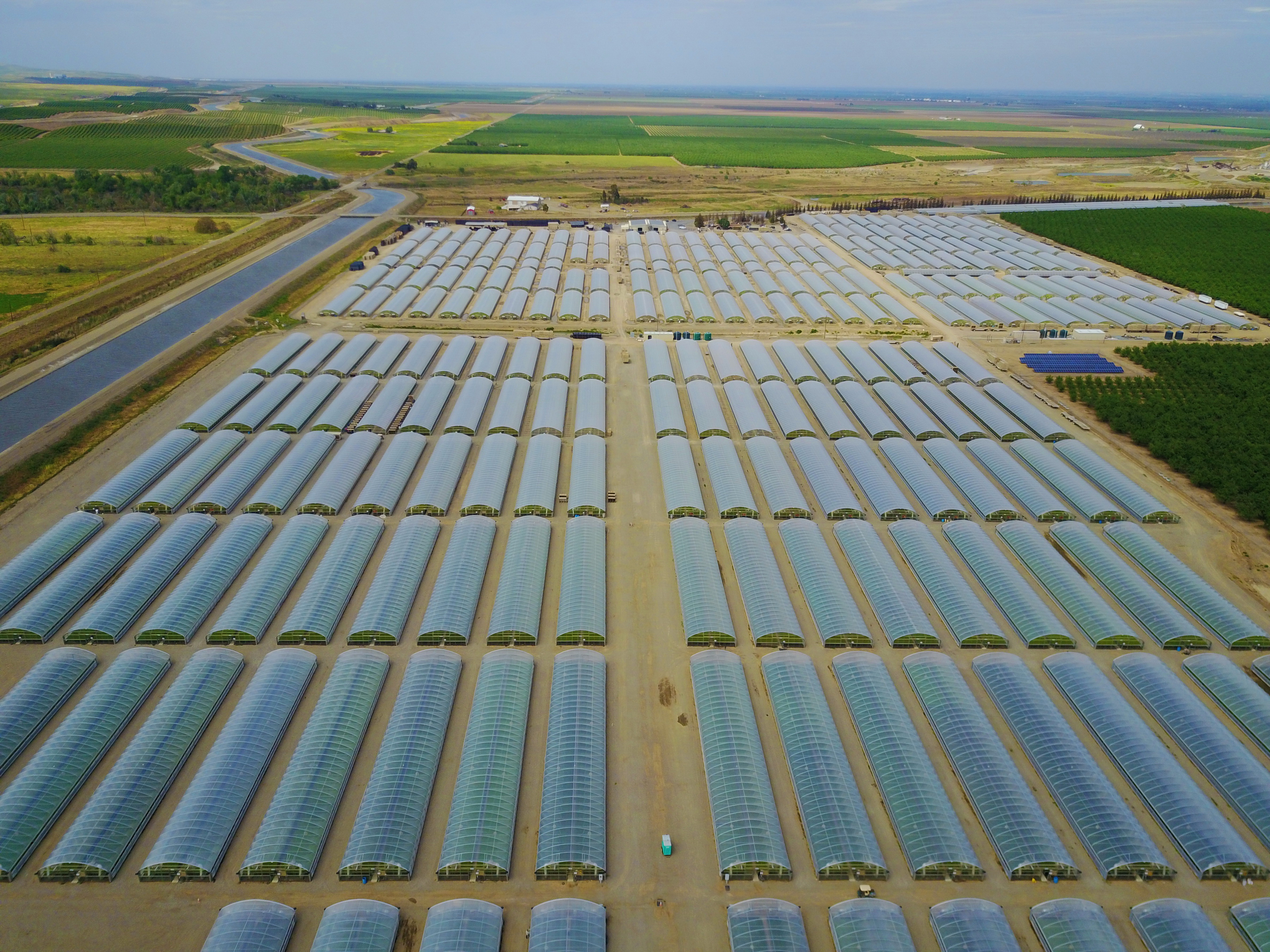 1.1 million sq ft of Agra Tech Thermolator greenhouses at Calif Transplants | Calif Transplants | Newman, CA