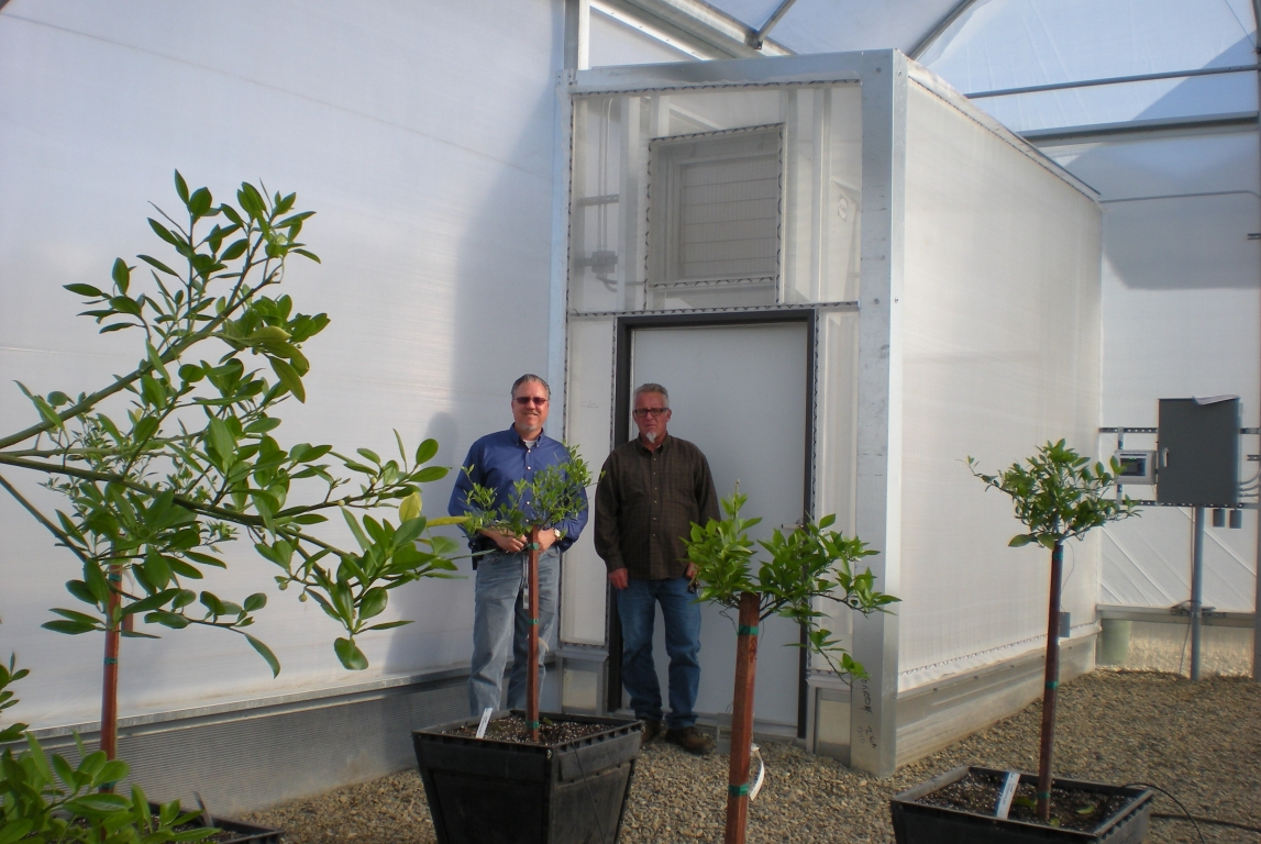 Insulator greenhouses for One-of-a-kind custom greenhouse at Monrovia Nurseries | Monrovia Nurseries | Woodlake, CA