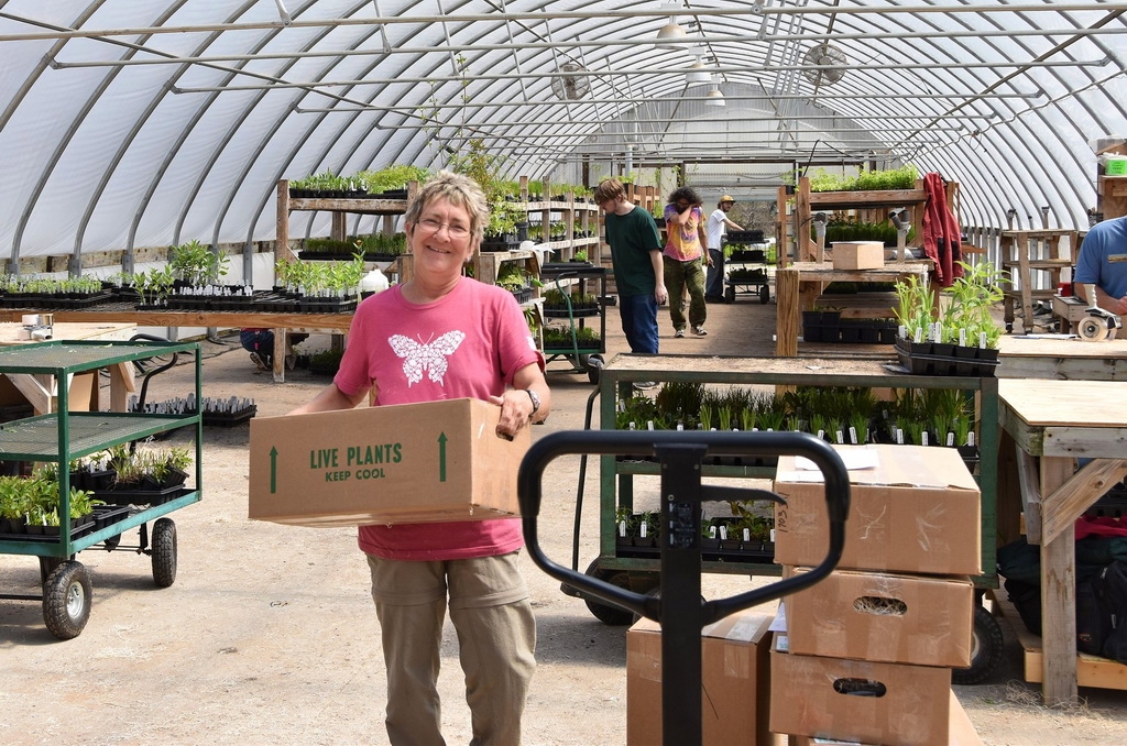 The versitile hoop houses are used for packing as well as growing