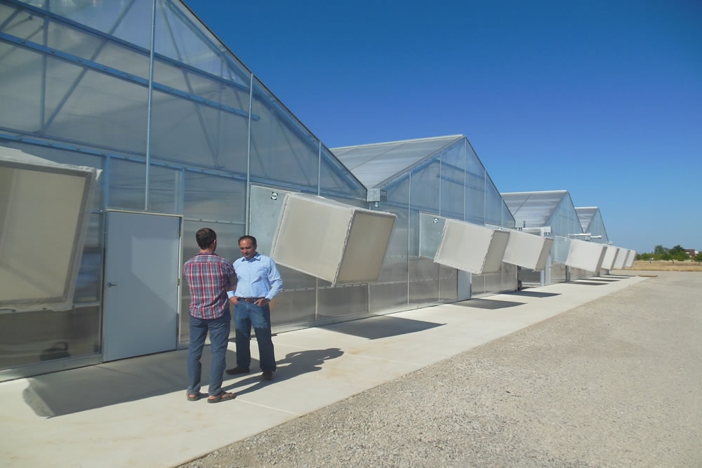 Inside their Agra Tech Solar Light 36 greenhouse