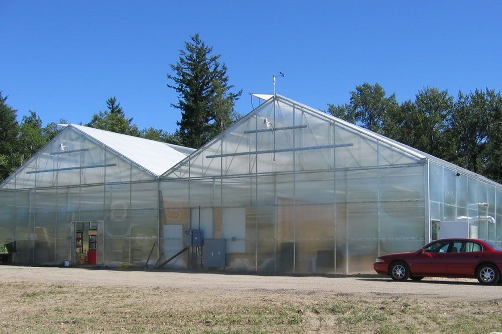 McPhail Farms | Tomatoes greenhouse