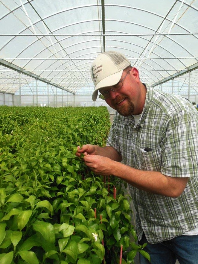 Citrus project | Burchell Nursery