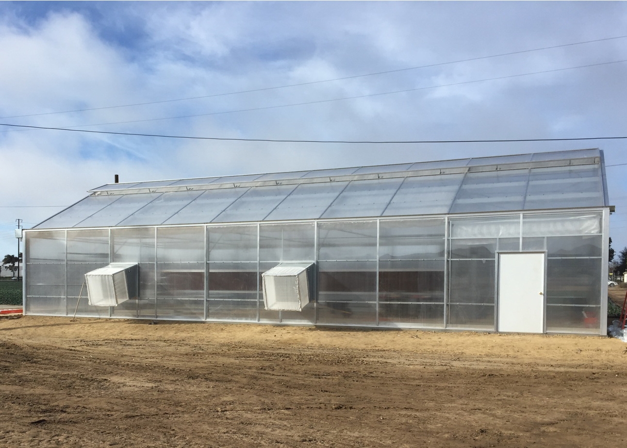 Completed greenhouse showing screen boxes over the exhaust fans | Commercial Greenhouse Manufacturer