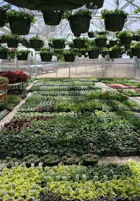 Lake Area Industries | Commercial Greenhouse Manufacturer