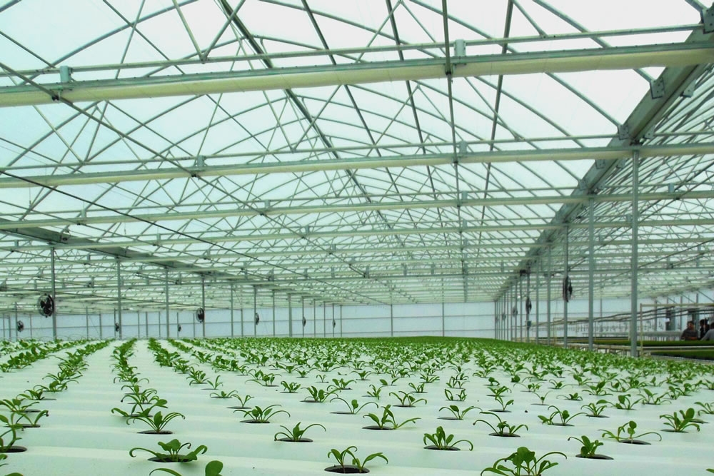 Agra Tech Continental greenhouse in production | Commercial Greenhouse Manufacturer