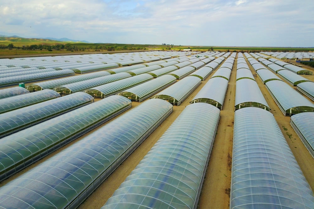 Greenhouse Plastics | Commercial Greenhouse Manufacturer