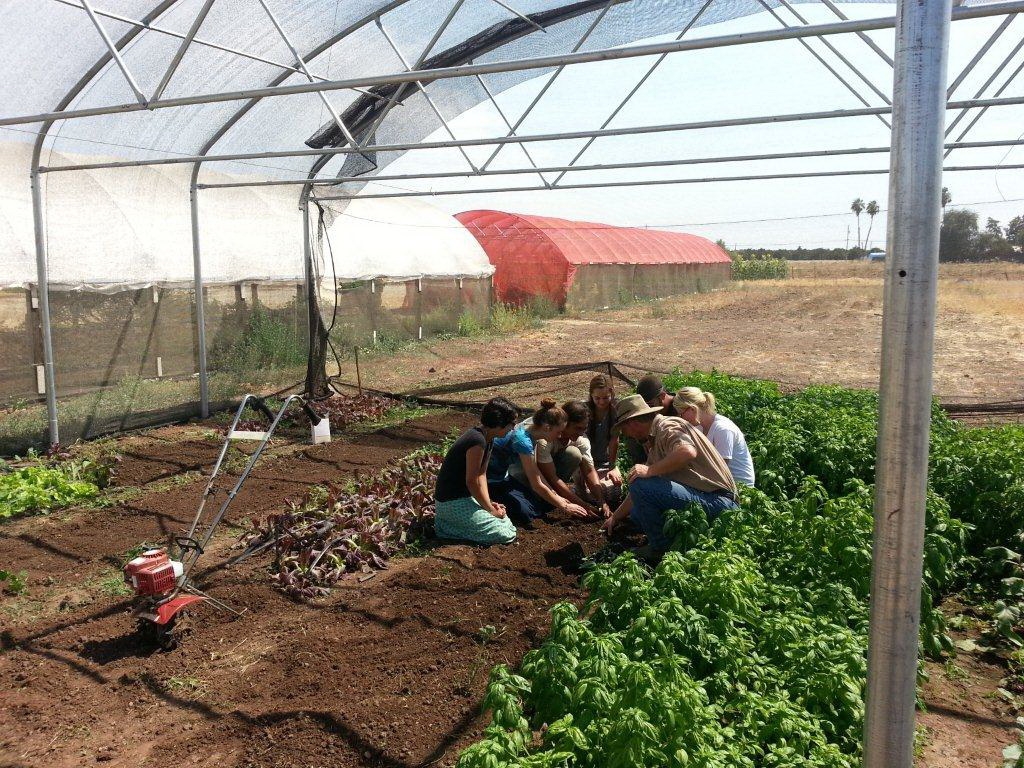 Learning important life skills in an Agra Tech greenhouse