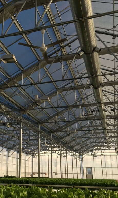 Agra Tech Inc | Commercial Greenhouses