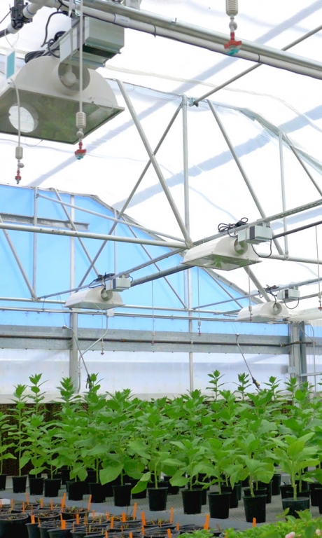 Greenhouse Catalog Request | Commercial Greenhouse Manufacturer