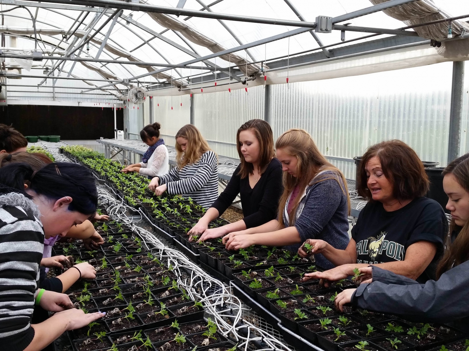 Agriculture Program at Bret Harte Union High School | Trevor Airola