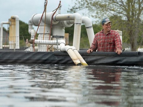 Tsar Nicoulai is the first caviar farm in the world to produce food in an aquaponics system that includes fish, plants, and bacteria.