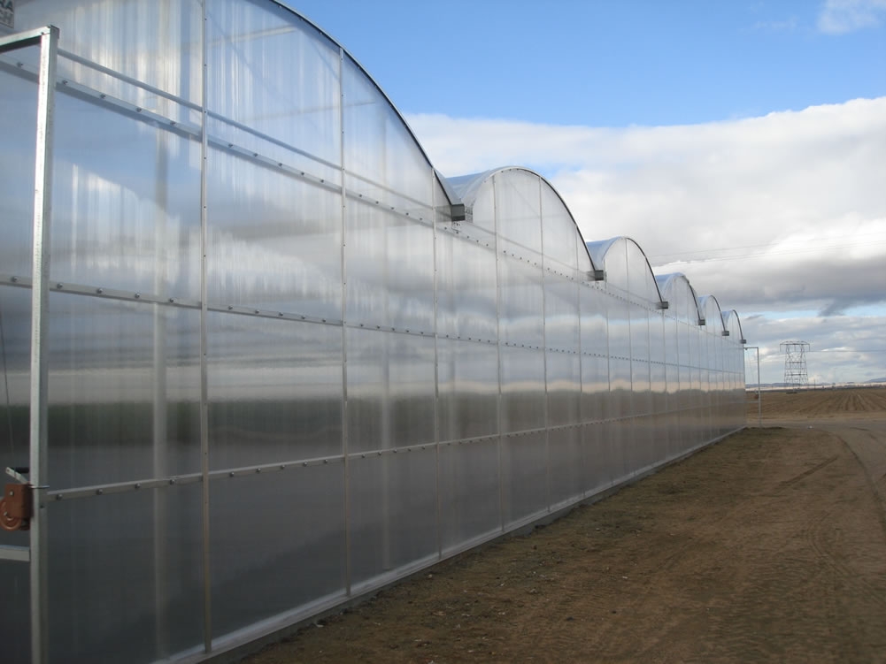 Willits & Newcomb Insulator Greenhouses  | Agra Tech