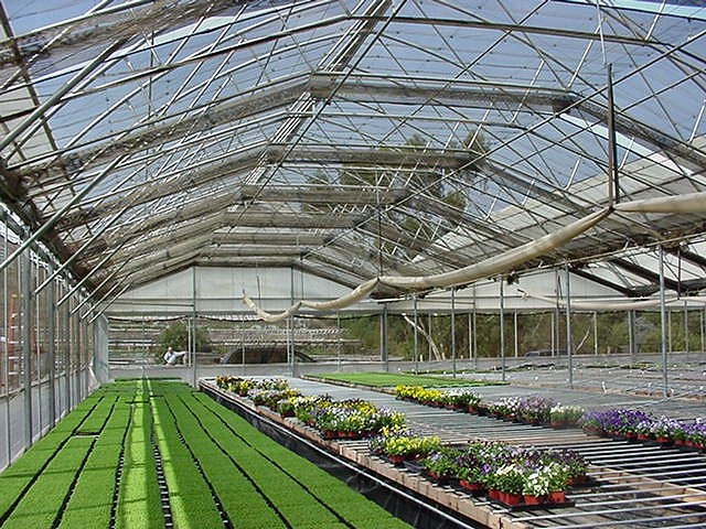 Plug Connection’s Continental Greenhouse with roll-A-roof fully open